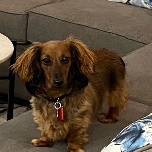 Meet your Posher, Robin